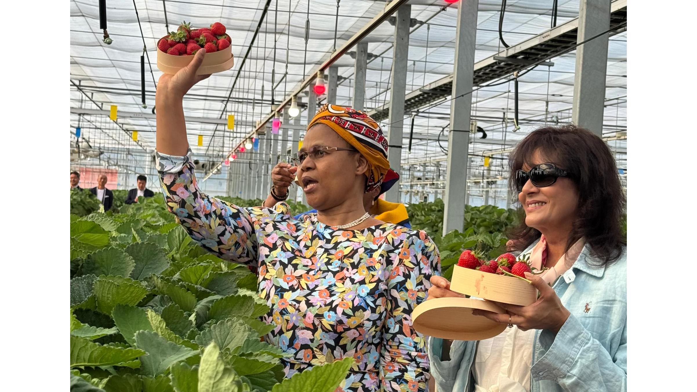 Inkhosikati visits ancient garden, Strawberry Park